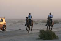 international/Bahrain/2009GrandPrix/gallery/01/thumbnails/0902UAE_418.jpg