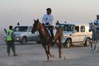 0902UAE_426