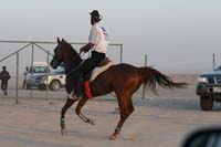 0902UAE_430