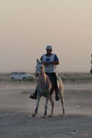 0902UAE_432