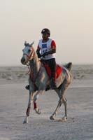 0902UAE_438