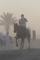 international/Bahrain/2009GrandPrix/gallery/01/thumbnails/0902UAE_452.jpg