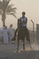 0902UAE_454