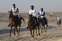 0902UAE_479
