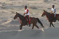 0902UAE_486