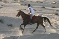 0902UAE_487