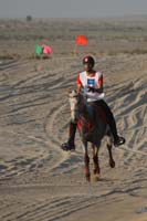 0902UAE_491