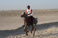 0902UAE_495