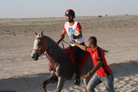 international/Bahrain/2009GrandPrix/gallery/01/thumbnails/0902UAE_496.jpg