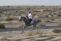0902UAE_499