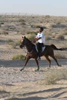 0902UAE_500
