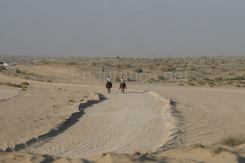 0902UAE_501