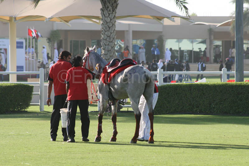 0902UAE_519