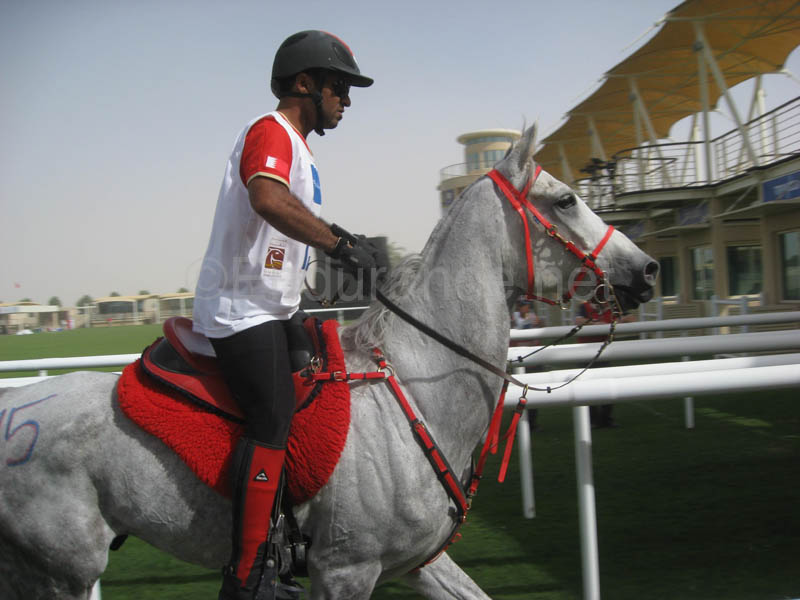 0902UAE_519D