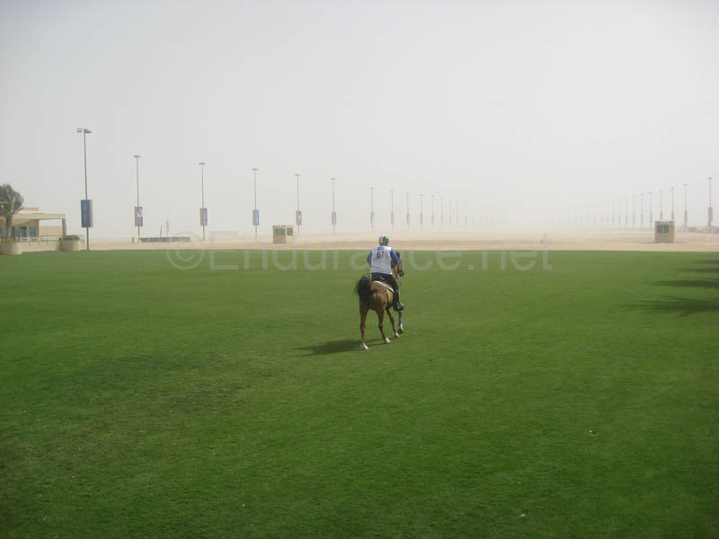 0902UAE_519E