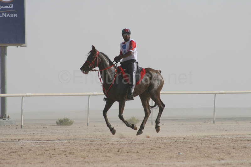 0902UAE_531