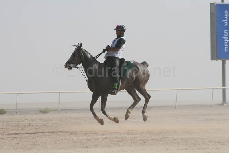 0902UAE_532