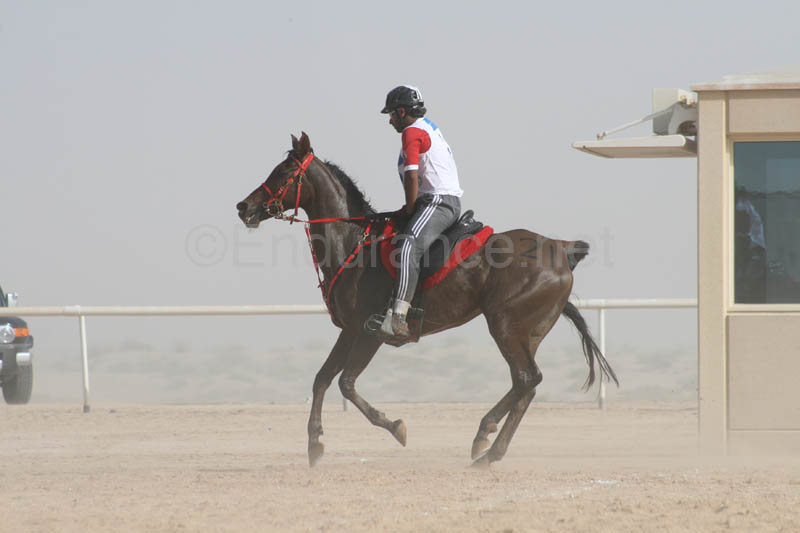 0902UAE_533