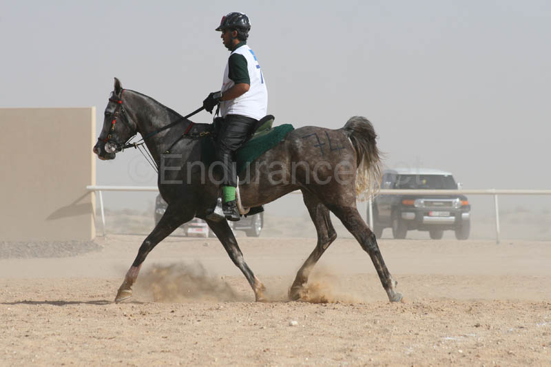 0902UAE_534