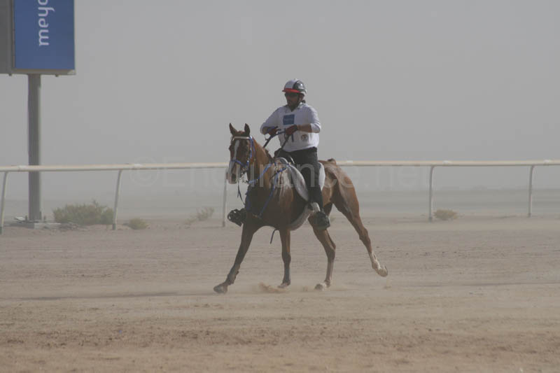 0902UAE_536