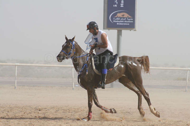 0902UAE_541