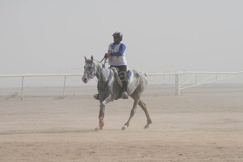 0902UAE_544