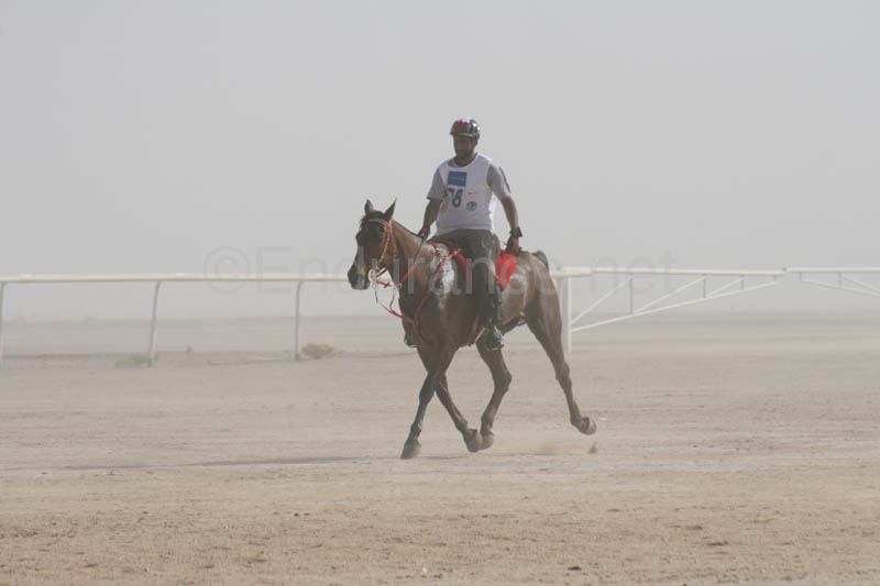 0902UAE_545