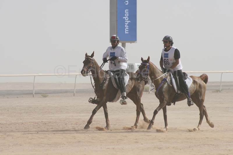0902UAE_550