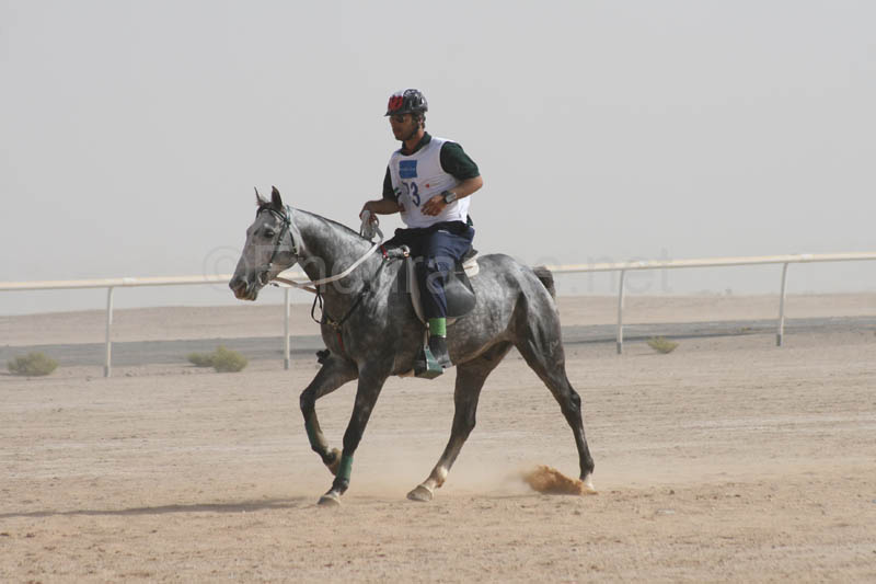 0902UAE_551
