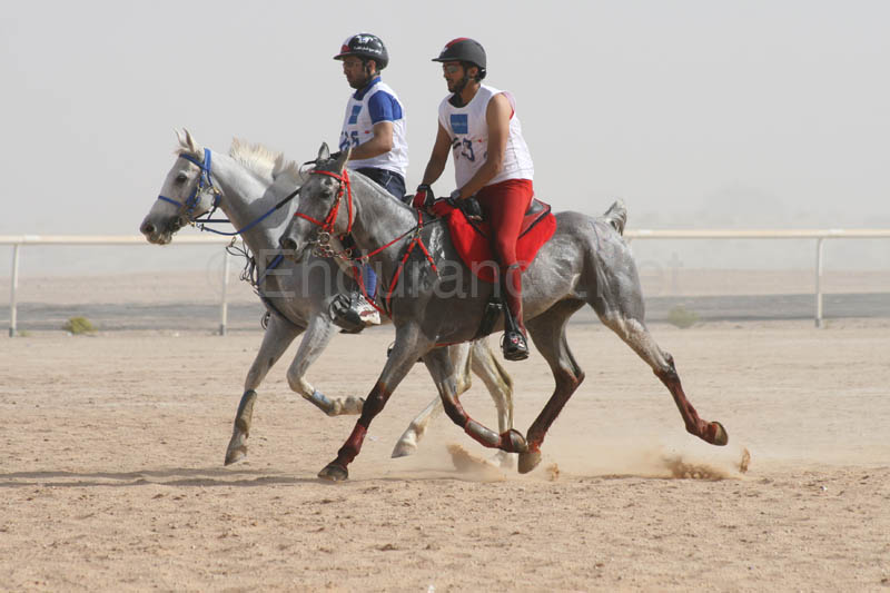 0902UAE_553