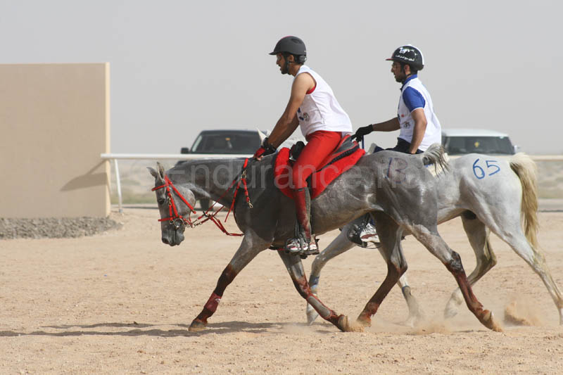 0902UAE_554