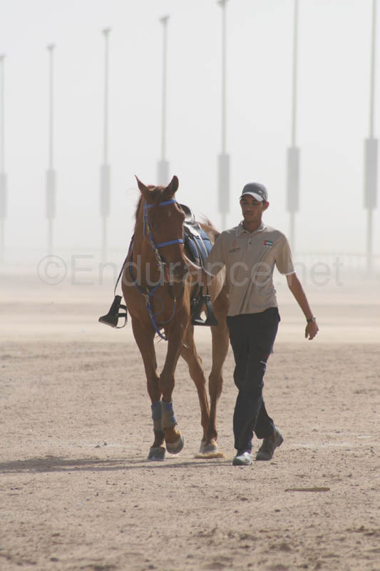 0902UAE_555