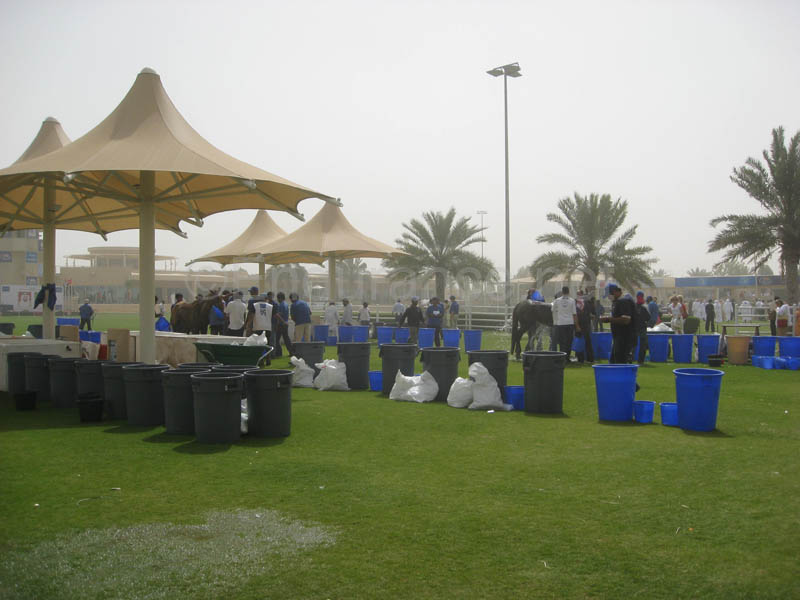 0902UAE_556B