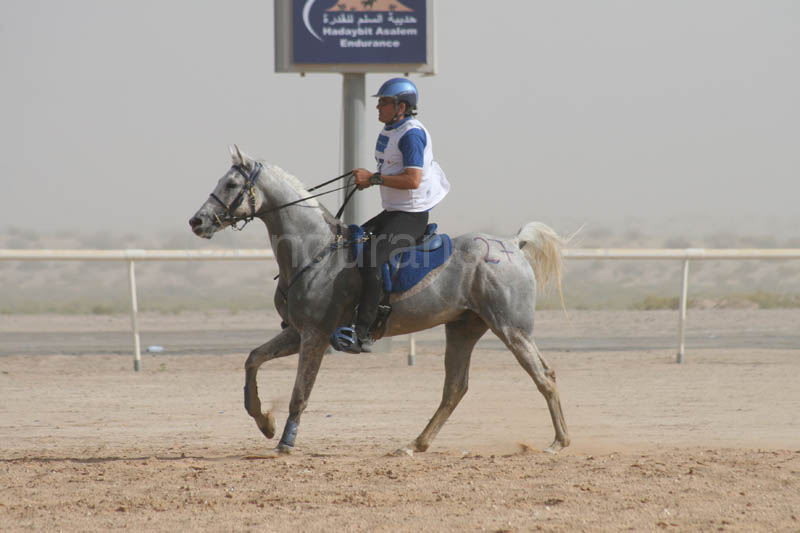 0902UAE_559