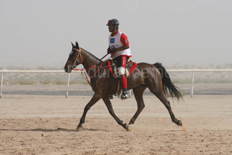 0902UAE_560