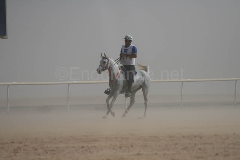0902UAE_561