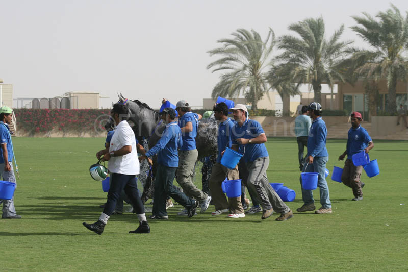 0902UAE_565