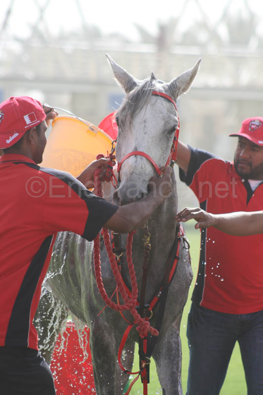 0902UAE_567