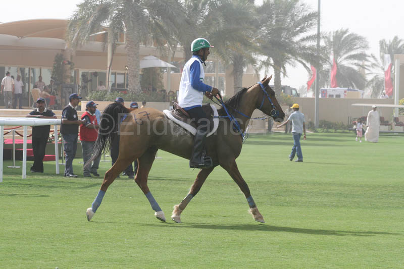0902UAE_578