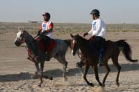 0902UAE_508