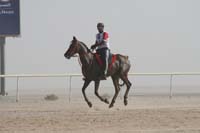 0902UAE_531