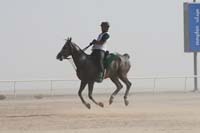 0902UAE_532