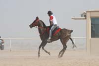 0902UAE_533