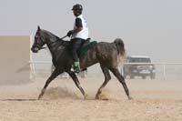 0902UAE_534