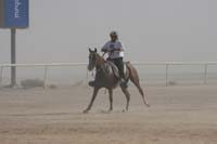 0902UAE_536