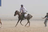 0902UAE_537