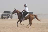 0902UAE_538