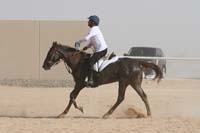 0902UAE_539