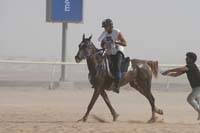 0902UAE_540