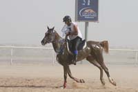 0902UAE_541